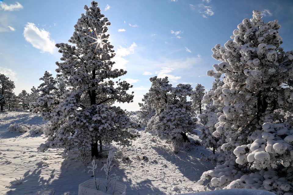 Submit a Testimonial