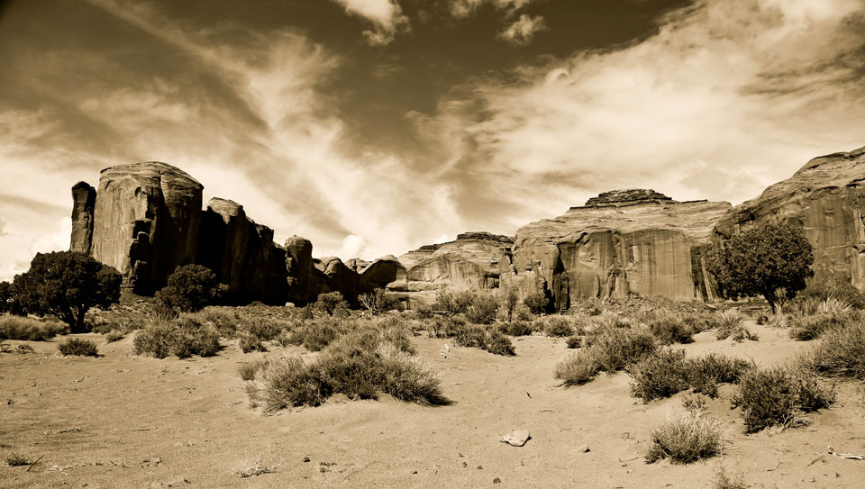  cognitive and somatic psychotherapy fort collins